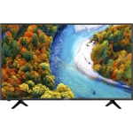 HISENSE LED H55N5300 55" UHD 4/K SMART-TV